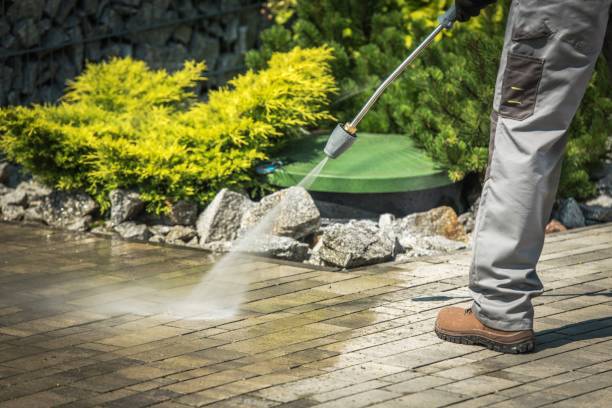 Best Winterizing Services  in Corvallis, MT