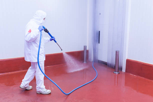 Best Driveway Pressure Washing  in Corvallis, MT